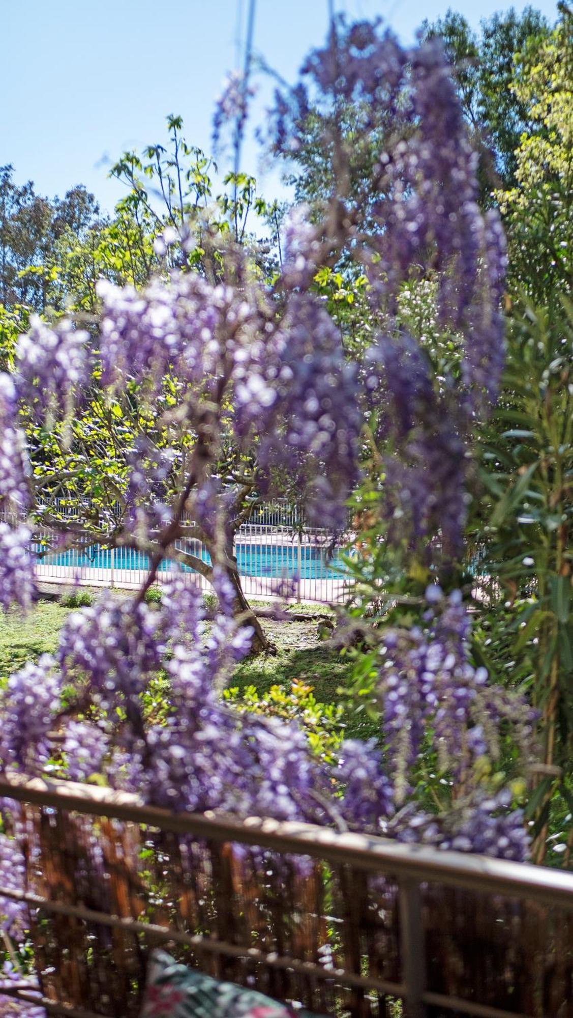 Apartmán Casa Laura -Parking - Pool Saint Tropez Exteriér fotografie